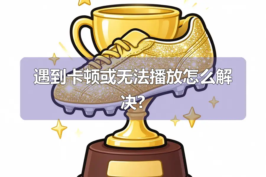 遇到卡顿或无法播放怎么解决?